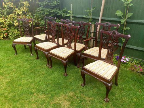 Set of 8 Carved Mahogany Chippendale Style Dining Chairs