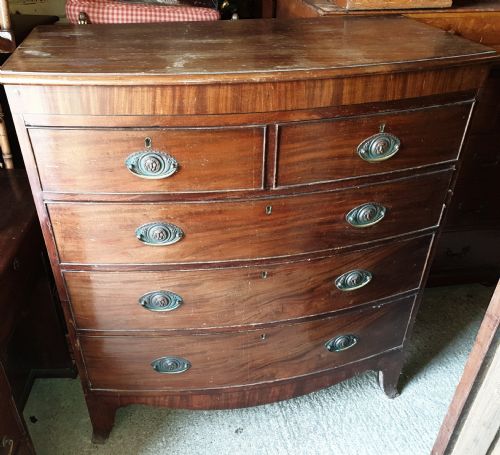 Regency Mahogany Bow Front Chest of Drawers