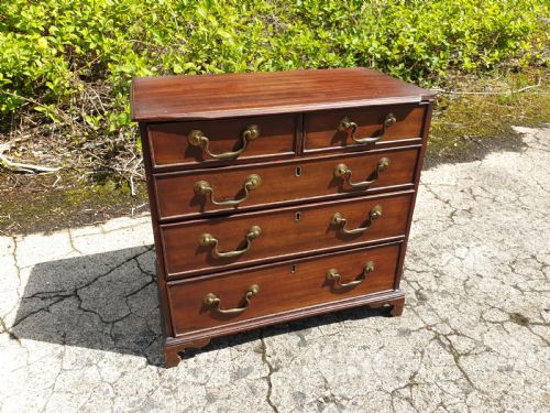 Mahogany Apprentice Chest of Drawers