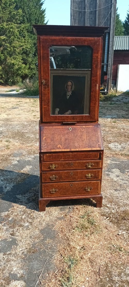 Early 18th Century Burr Yew and Red Walnut Bureau Bookcase.