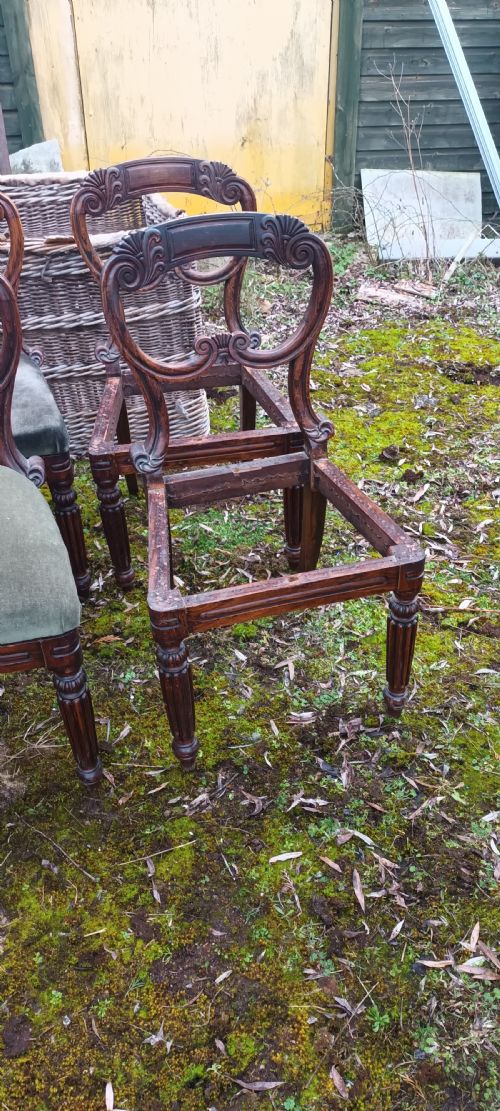 SET 6 REGENCY DINING CHAIRS IN THE MANNER OF GILLOWS - ADDITIONAL PHOTO 1