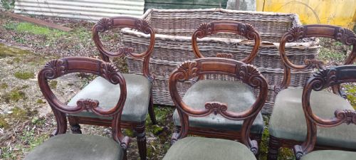 SET 6 REGENCY DINING CHAIRS IN THE MANNER OF GILLOWS - ADDITIONAL PHOTO 5