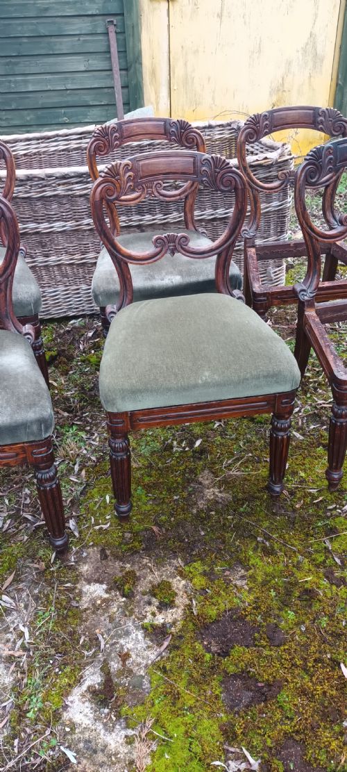 SET 6 REGENCY DINING CHAIRS IN THE MANNER OF GILLOWS - ADDITIONAL PHOTO 7