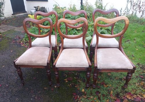 6 Early Victorian Mahogany Dining Chairs.