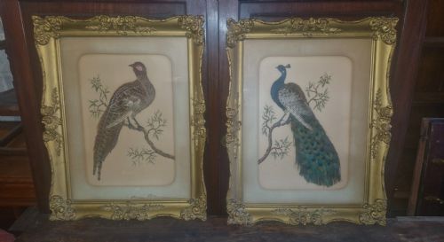 Pair of Late Victorian Painted and Feather Pictures of Birds