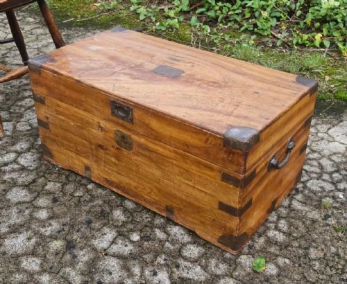 Camphorwood Trunk.
