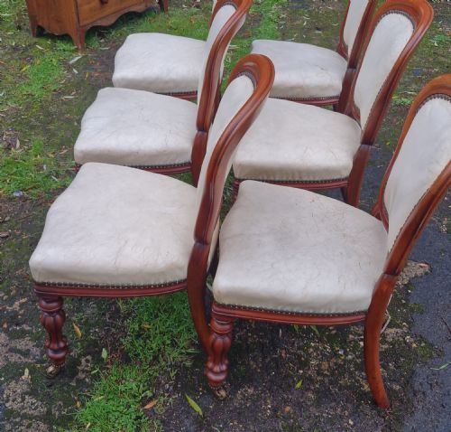 SET OF 6 MID VICTORIAN MAHOGANY DINING CHAIRS - ADDITIONAL PHOTO 5