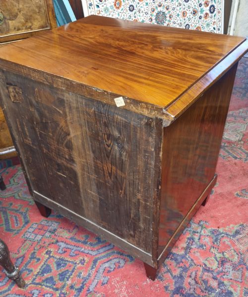 EARLY VICTORIAN MAHOGANY SINGLE DOOR SIDE CABINET - ADDITIONAL PHOTO 1