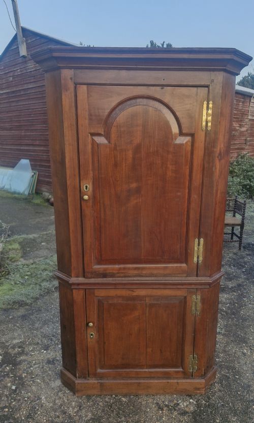 EARLY 18TH CENTURY PANELLED CORNER CUPBOARD - ADDITIONAL PHOTO 2