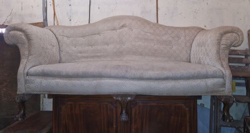 Edwardian Upholstered Camel Back Sofa on Ball and Claw Feet.