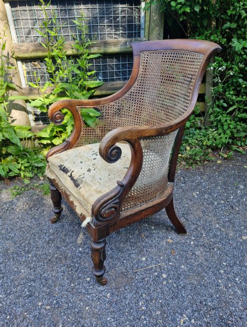 Regency Rosewood Caned Bergere Armchair.