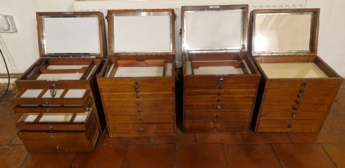 4 EARLY 20TH CENTURY MAHOGANY SPECIMEN CHESTS WITH CARRYING HANDLES - ADDITIONAL PHOTO 16