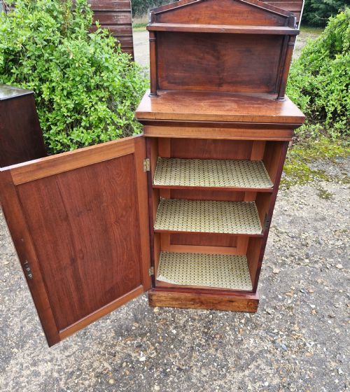 NARROW REGENCY MAHOGANY SIDE CABINET - ADDITIONAL PHOTO 1