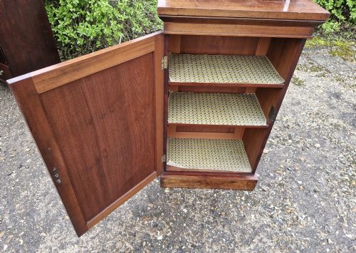 NARROW REGENCY MAHOGANY SIDE CABINET - ADDITIONAL PHOTO 2