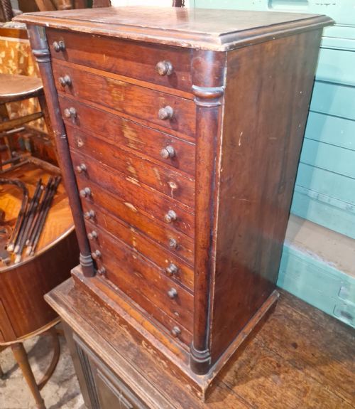 VICTORIAN SPECIMEN CHEST - ADDITIONAL PHOTO 2