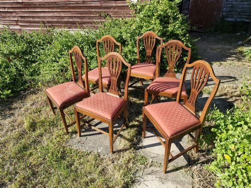 set of 6 regency elm hepplewhite style dining chairs - CATEGORY: ANTIQUE CHAIRS - DATED REGENCY
