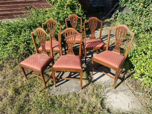 SET OF 6 REGENCY ELM HEPPLEWHITE STYLE DINING CHAIRS - ADDITIONAL PHOTO 1
