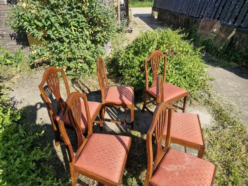 SET OF 6 REGENCY ELM HEPPLEWHITE STYLE DINING CHAIRS - ADDITIONAL PHOTO 4