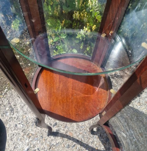 EDWARDIAN GILT METAL MOUNTED MAHOGANY BIJOUTERIE DISPLAY CABINET - ADDITIONAL PHOTO 1