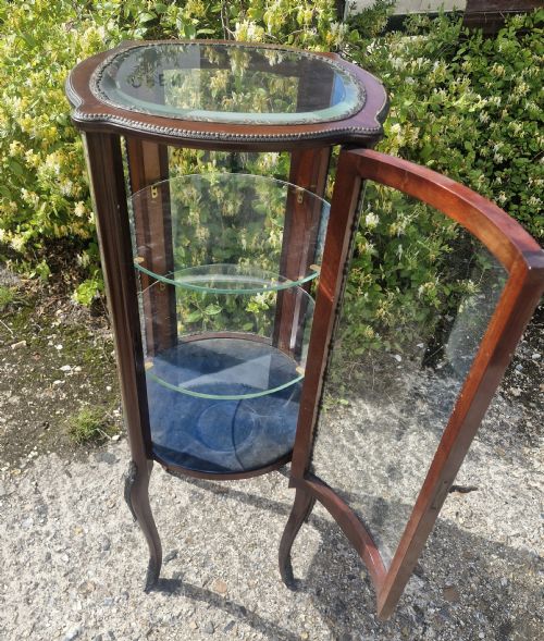 EDWARDIAN GILT METAL MOUNTED MAHOGANY BIJOUTERIE DISPLAY CABINET - ADDITIONAL PHOTO 9