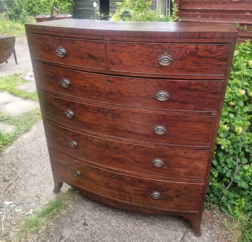 LARGE REGENCY MAHOGANY BOW FRONT CHEST OF DRAWERS - ADDITIONAL PHOTO 5