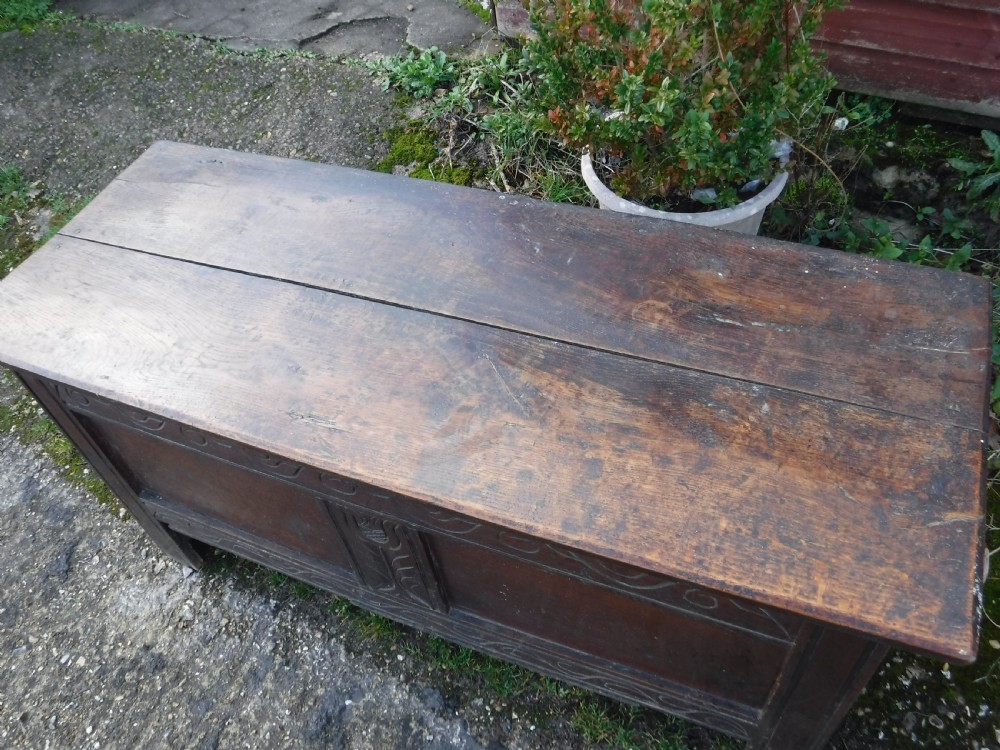18th century  West Country carved and panelled chest View V