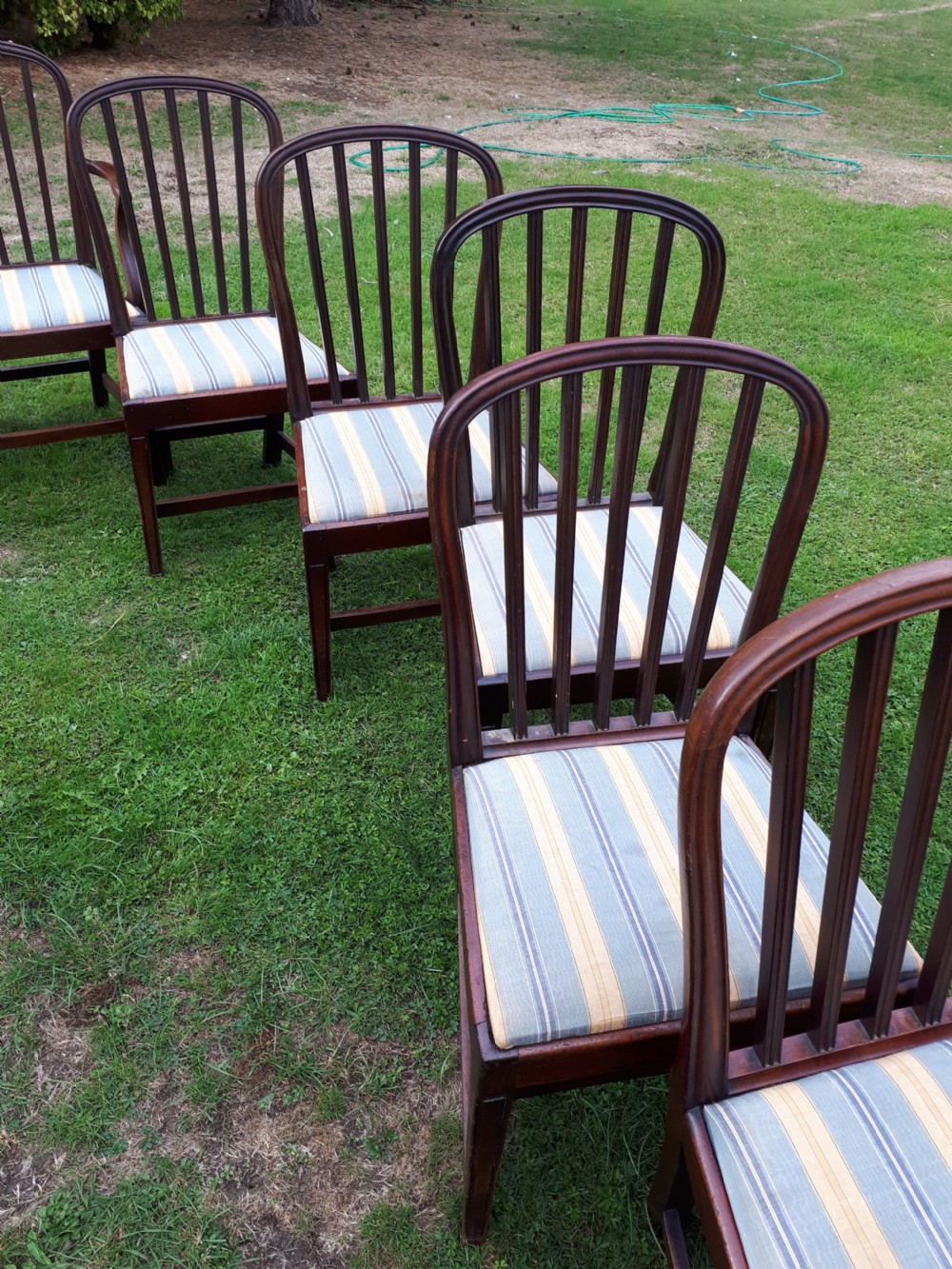 Set of 8 early 19th century mahogany dining chairs View IV