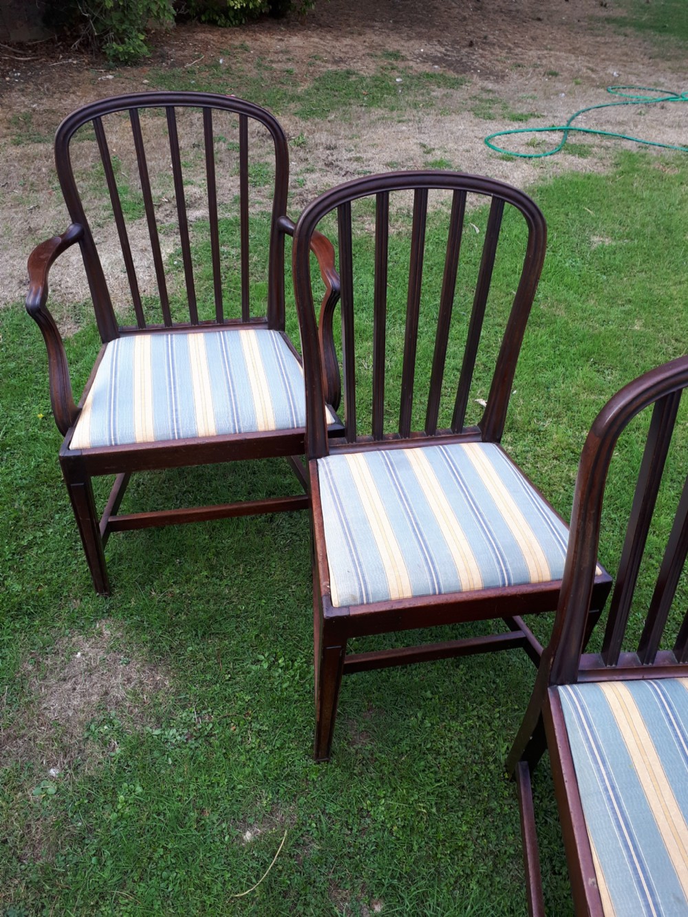 Set of 8 early 19th century mahogany dining chairs View V