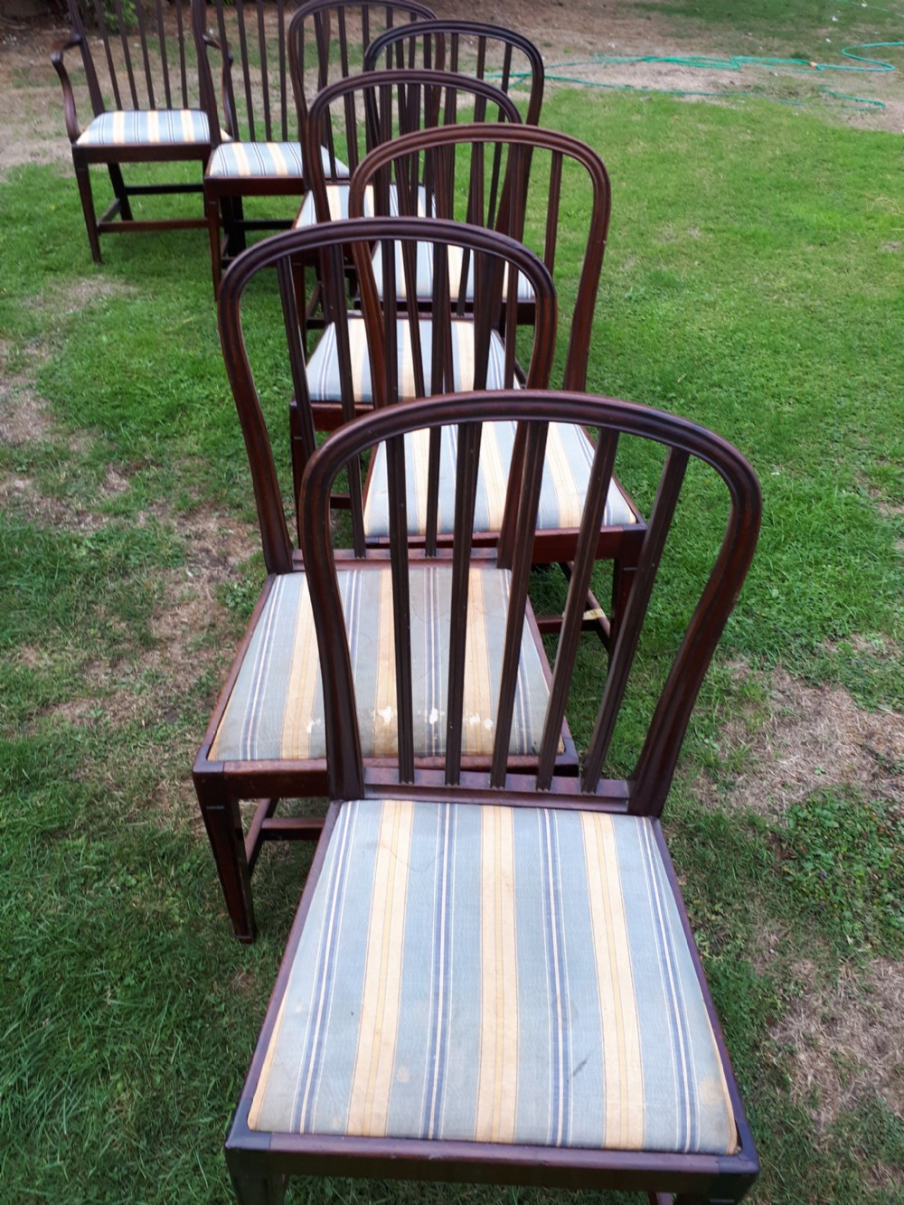 Set of 8 early 19th century mahogany dining chairs View VII