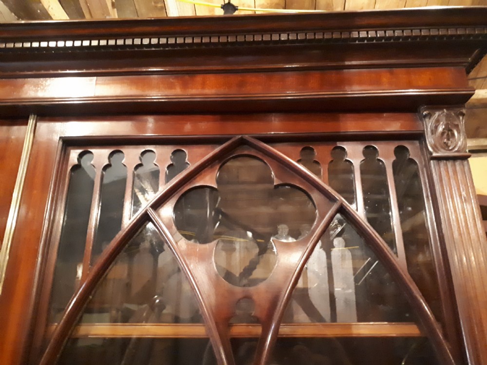 19th century mahogany bookcase cabinet with gothic arched doors View IV