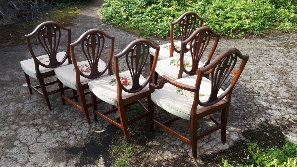 Set of Edwardian mahogany dining chairs View II