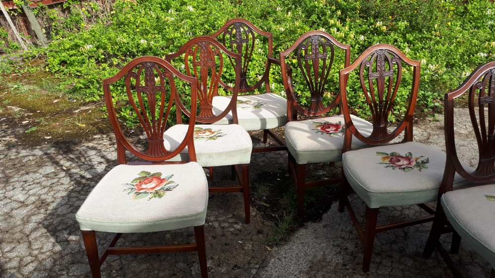 Set of Edwardian mahogany dining chairs View VI