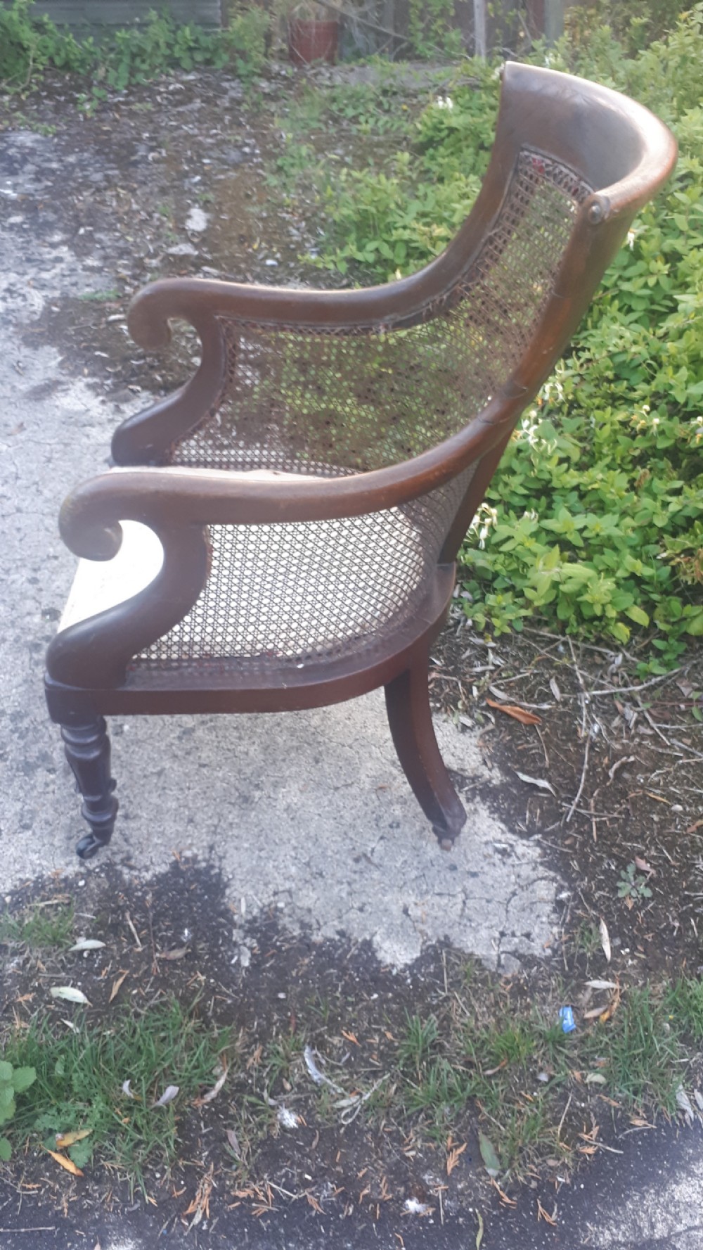 19th century mahogany library armchair. View V