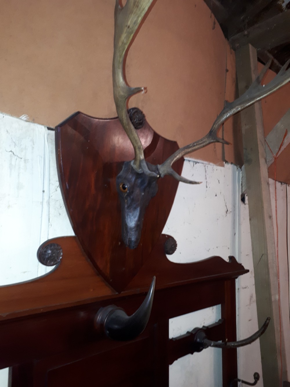Large Late 19th century mahogany hunting lodge hallstand View II