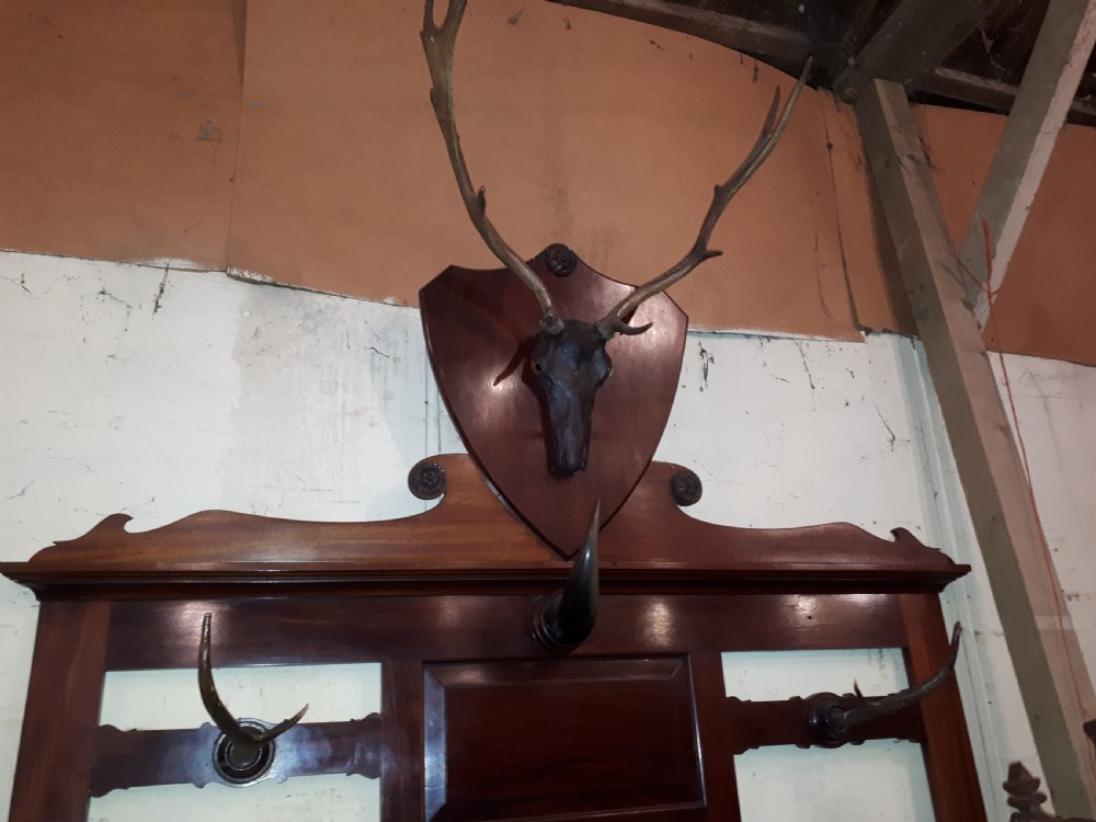 Large Late 19th century mahogany hunting lodge hallstand View III