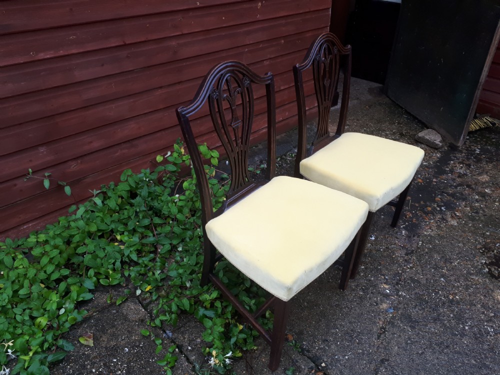 Pair early 19th century mahogany side chairs View III