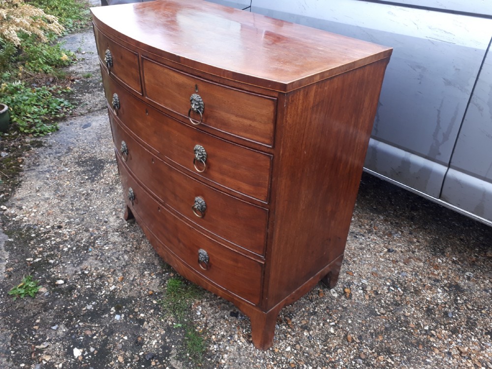 Good practical Regency bow front chest of drawers View II