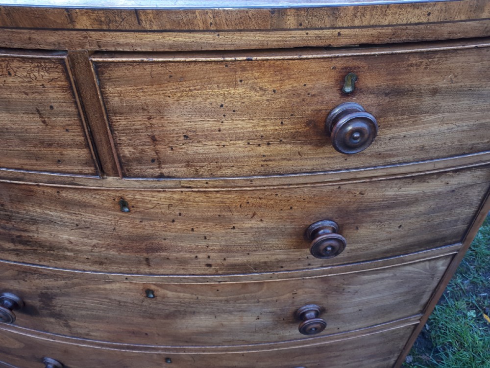 Regency mahogany bow front chest  View III