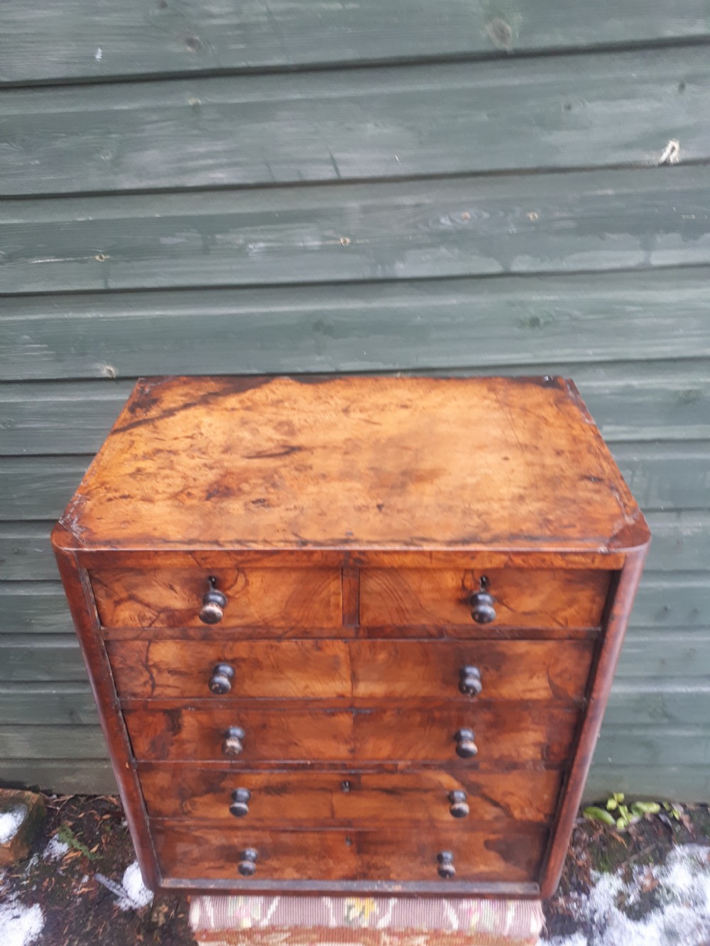 Victorian  burr walnut collectors  chest