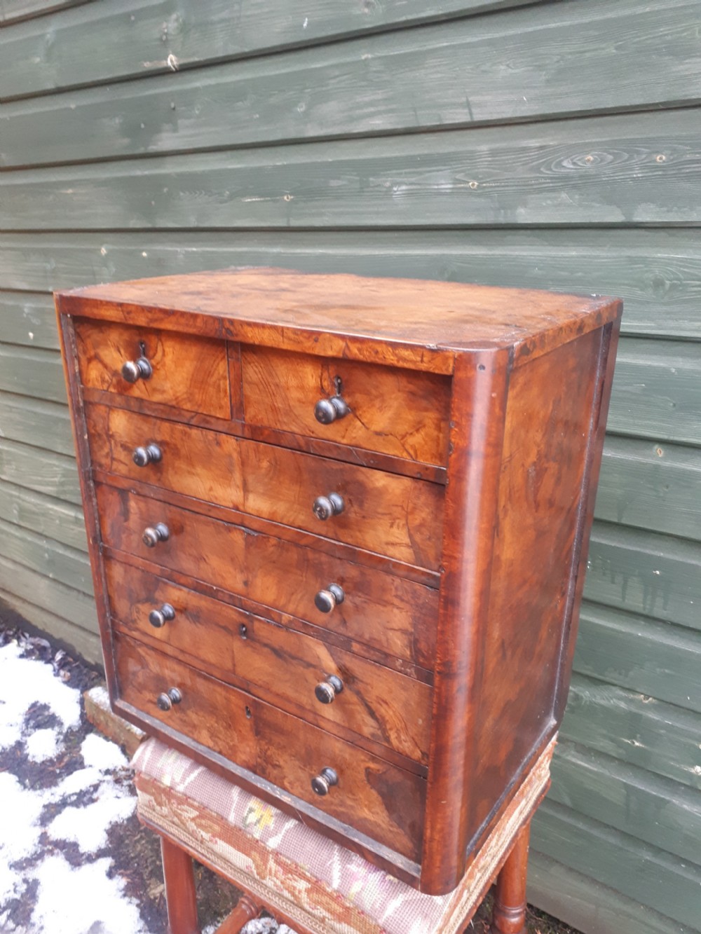 Victorian  burr walnut collectors  chest View II