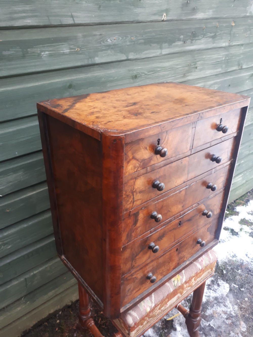 Victorian  burr walnut collectors  chest View IV