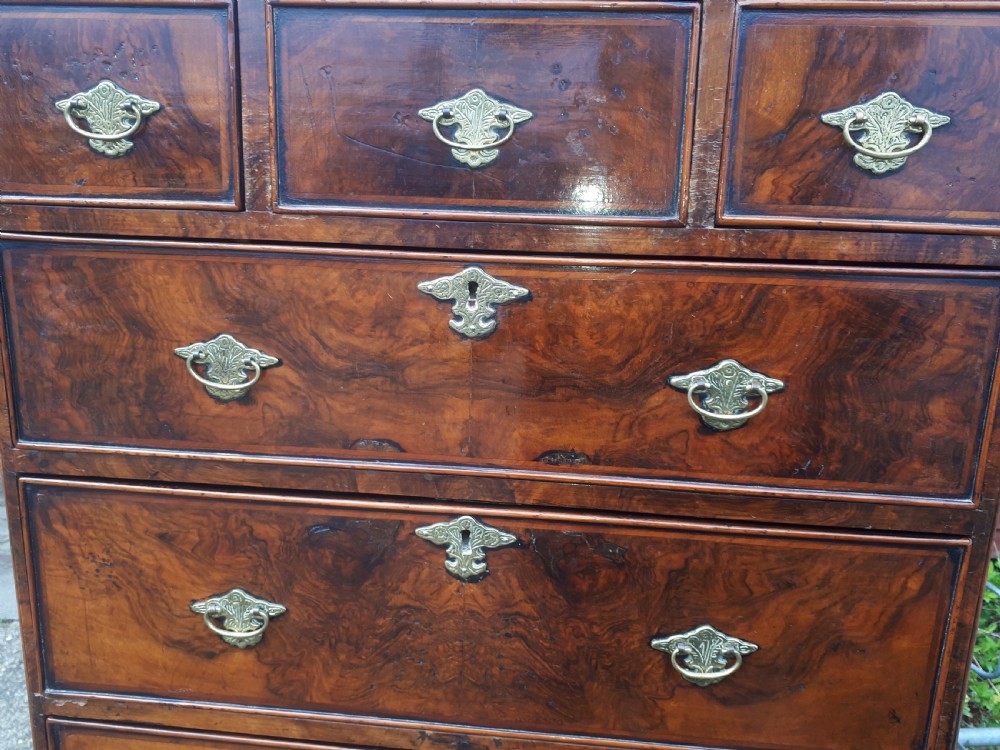Early 20th century walnut chest on chest View V