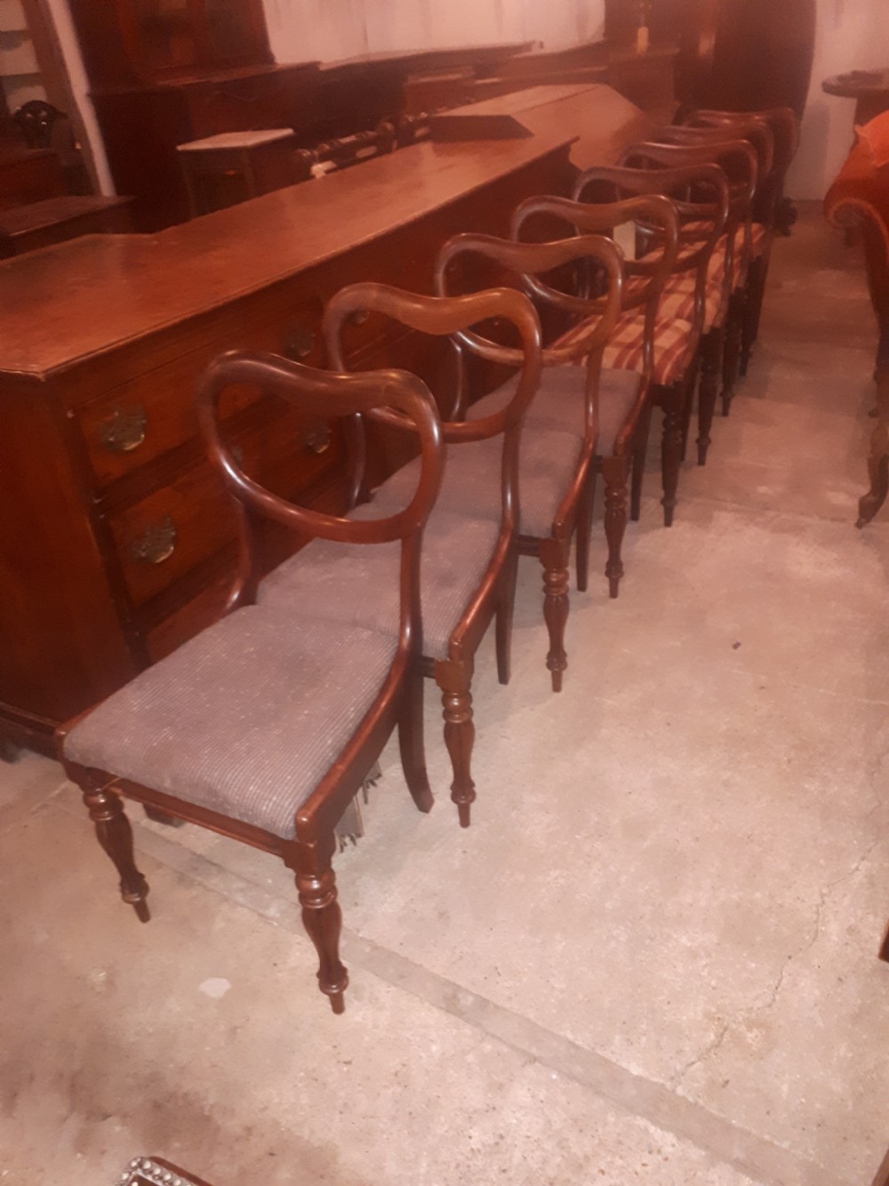 8 early Victorian dining chairs-£40 per chair. View II