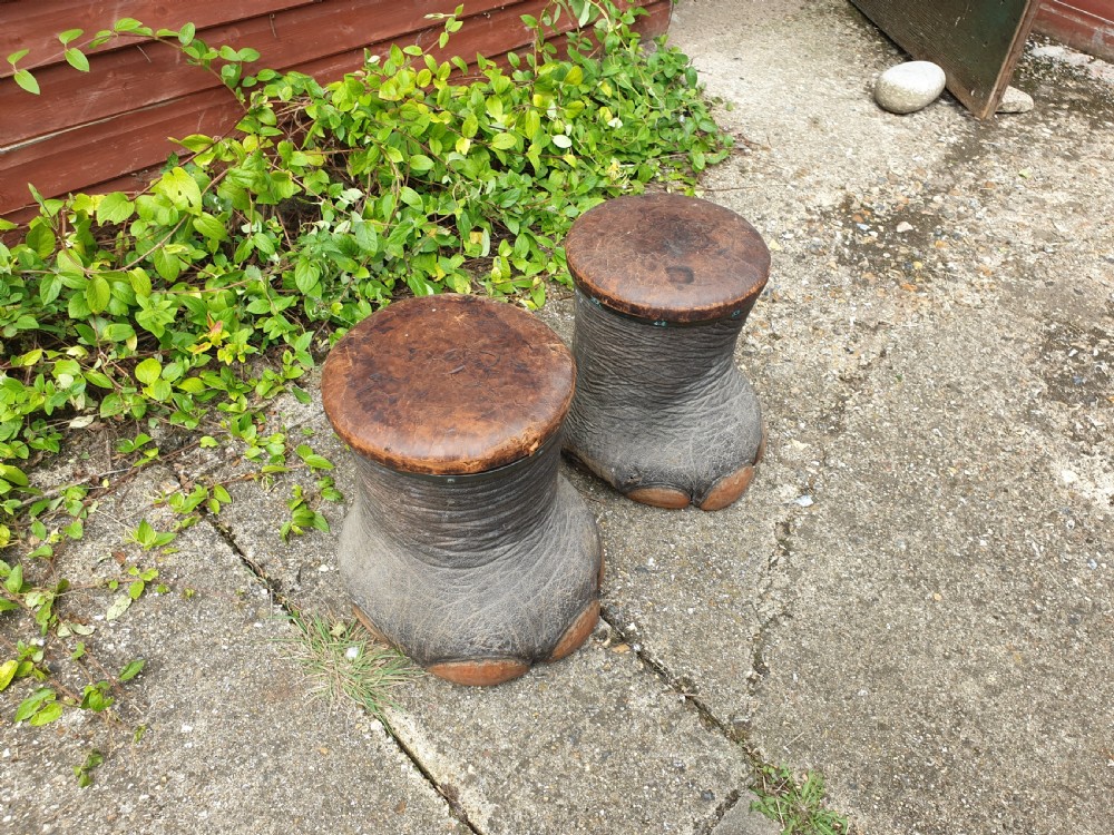 Pair of Elephant leather top stools by Rowland Ward View II