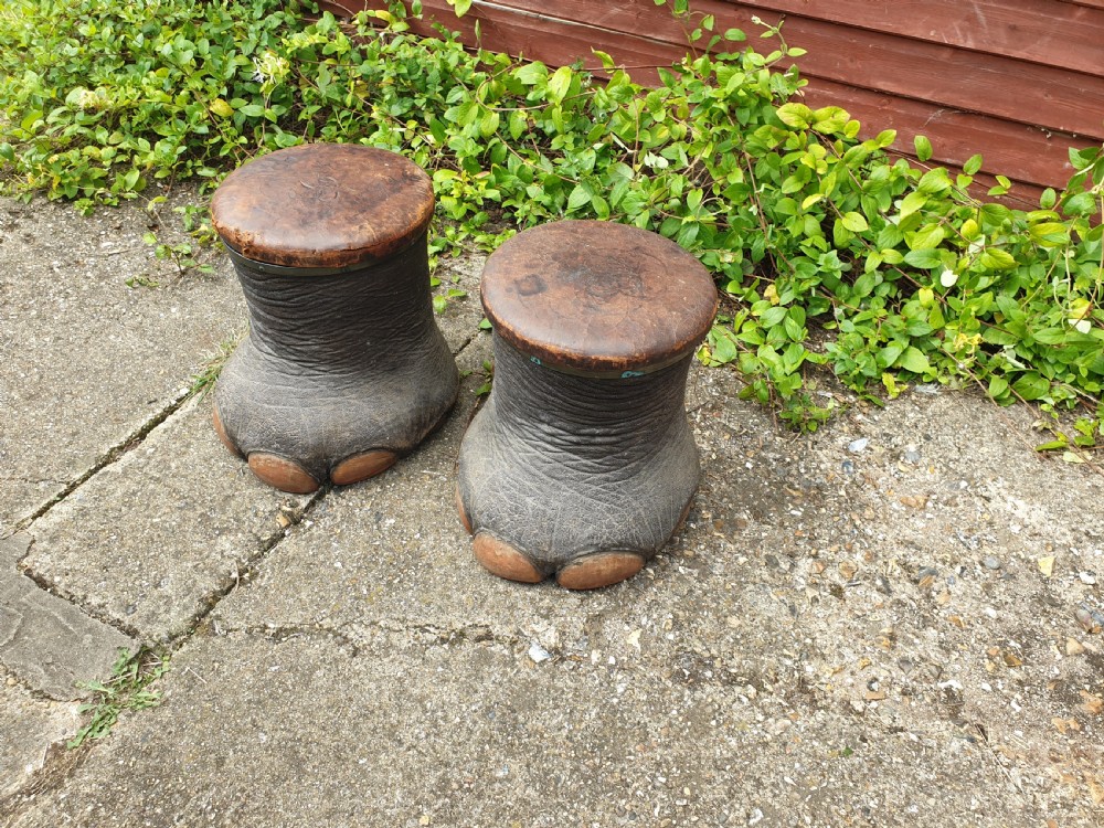 Pair of Elephant leather top stools by Rowland Ward View VI