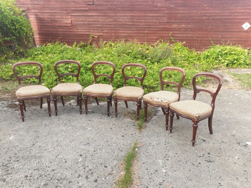 Set of 6 mid Victorian mahogany balloon back dining chairs.