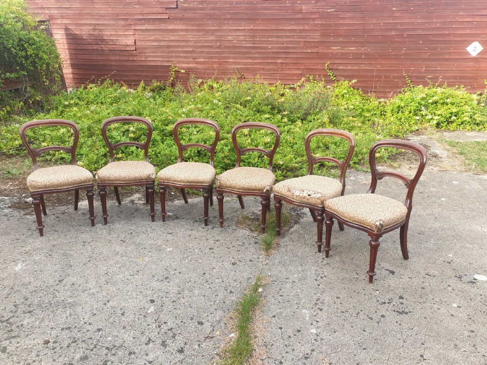 Set of 6 mid Victorian mahogany balloon back dining chairs. View II