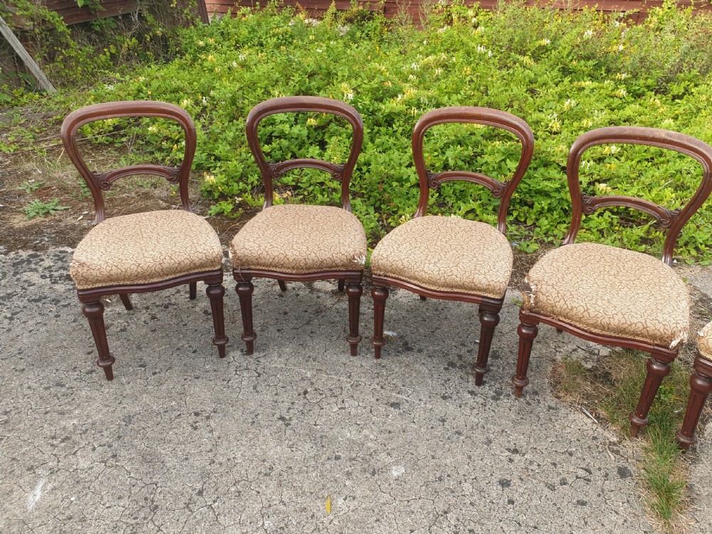 Set of 6 mid Victorian mahogany balloon back dining chairs. View III
