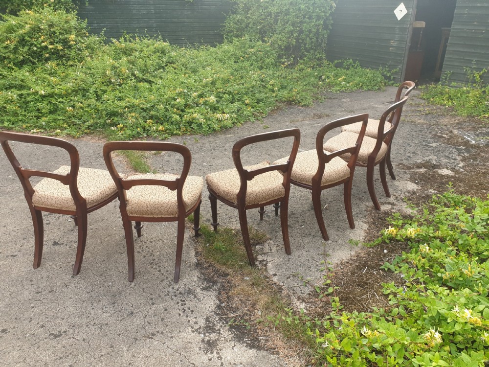 Set of 6 mid Victorian mahogany balloon back dining chairs. View V