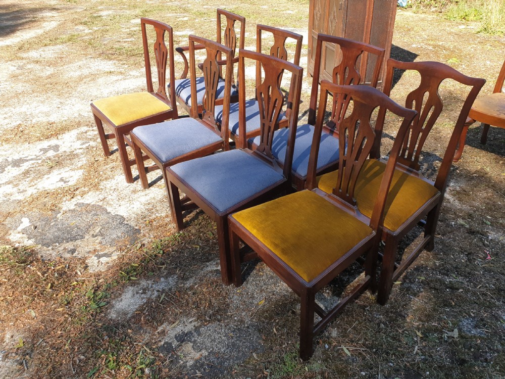 Harlequin set of  8 19th century solid mahogany dining chairs (only £35 each)